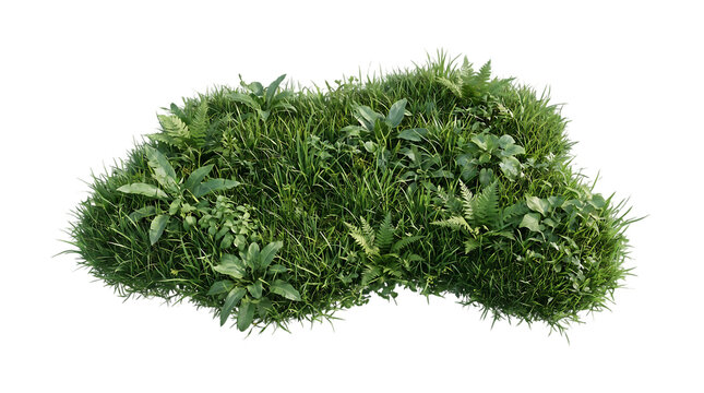 A car made of green grass and plants on a transparent background PNG with alpha channel