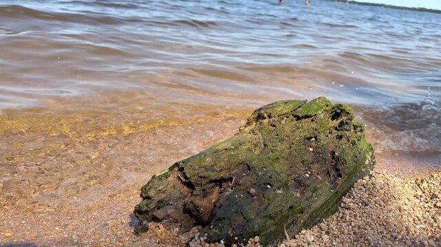 4K video of a moss covered rock on the shallow lake shore in Borovoe, Burabay, Kazakhstan. Gentle waves move around the stone, creating a peaceful natural summer scene.