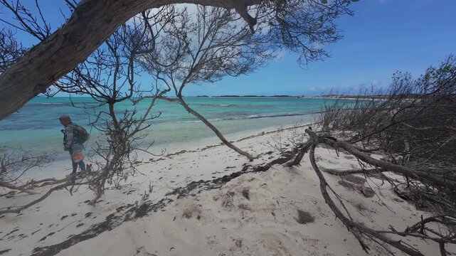 Storyteller's perspective showing a male traveler with a backpack walking through wild coastal trees toward an untouched, pristine Caribbean beach during a solo expedition.