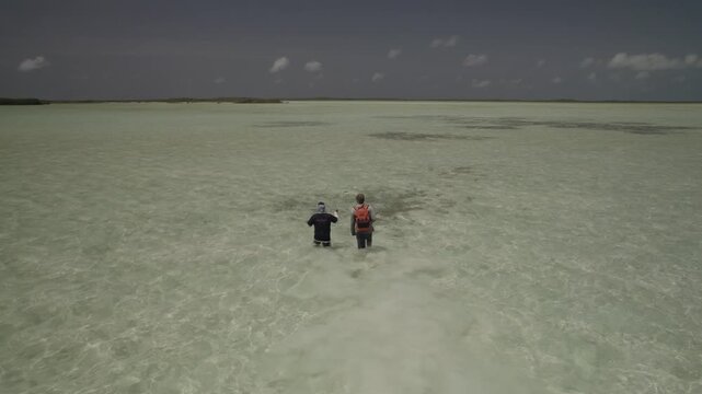 Aerial high-angle view two anglers wading through vast, shallow flats of Caribbean Sea. Walking side by side through clear, knee-deep water over sandy seabed, actively scanning surface for Bonefish