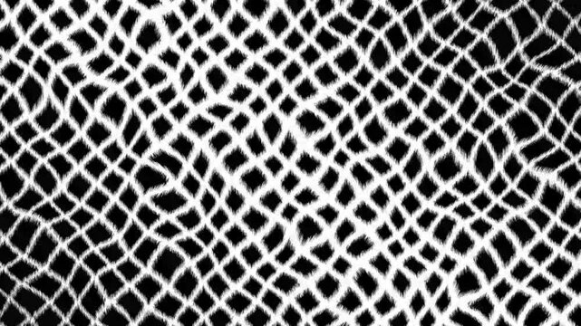 Black and white geometric distorted grid pattern transition motion graphic, abstract rough wavy mesh line wipe effect loop for slideshows and video creators on black and white background. 4k video