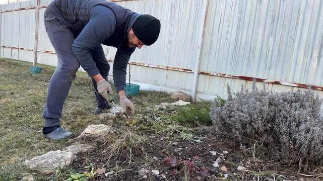 Male gardener in working gloves using hand cultivator tool to loosen soil on a flower bed near a fence on a sunny day during spring backyard care.
