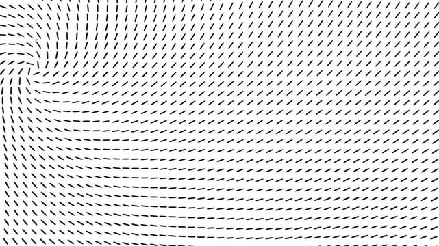 Monochrome black dash lines swirl around an optical vortex field against bright white surface in a minimalist 3D animation