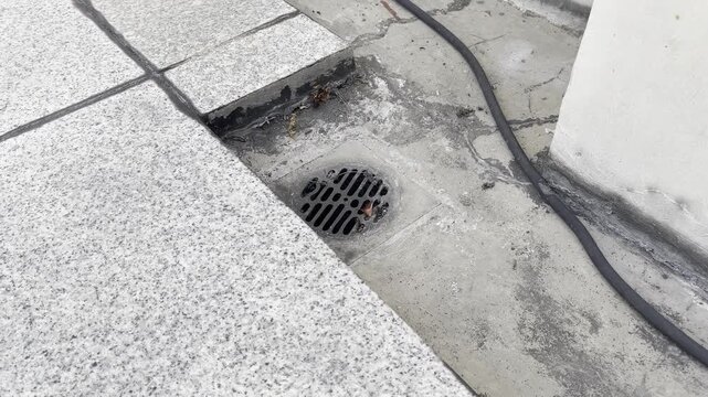Round Plastic Floor Drain Grate on Concrete Pavement