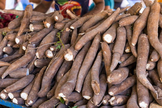 Traditional Open-Air Street Market in Northeastern Brazil with Fresh Cassava Roots (Manioc, Yuca, Mandioca) Displayed for Sale at a Local Food Stall, Brazilian Agriculture, Regional Cuisine and Cultur