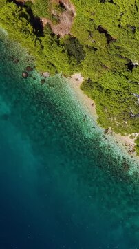 Croatia, aerial view of stunning turquoise sea, transparent water, beach and lush green forest from above