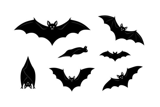 Several bat silhouettes in various flight and hanging poses during nighttime concept