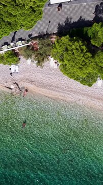 Croatia, aerial view of beach, crystal clear sea, pine trees and people swimming, summer vacation footage