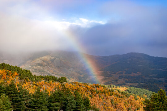 Autumnal views of the Tejera Negra beech forest in Guadalajara, Castilla-La Mancha, Spain, with a beautiful rainbow