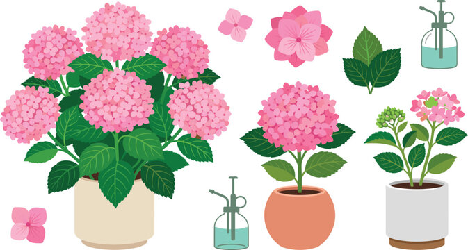  Pink hydrangea flower vector icon set featuring potted house plants green leaves and spray bottles isolated on white.