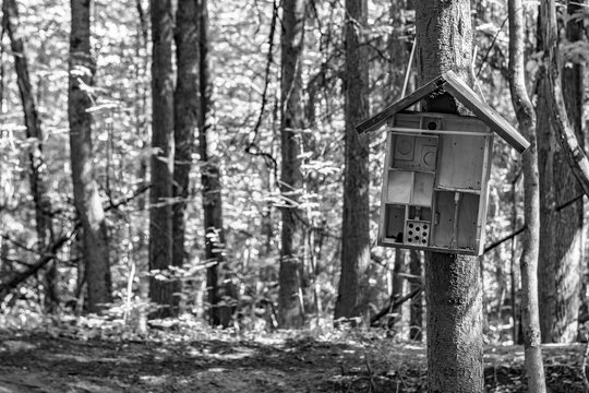 Black and white photo of a handmade insect hotel hung on a tree in the forest