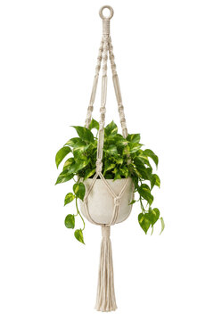 Vibrant green pothos plant in a cream-colored pot, suspended by a decorative macrame hanger against a clean white background