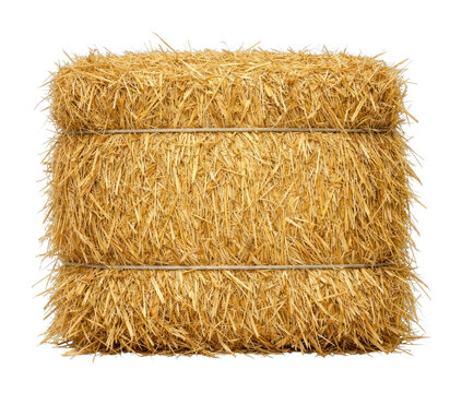 PNG Golden hay bale stack