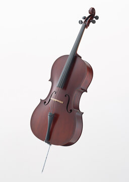 violin and bow