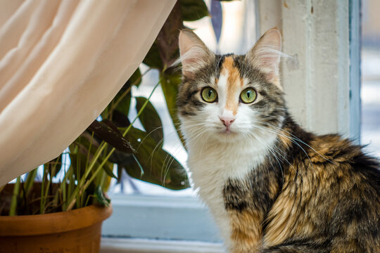 SONY DSC