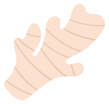 A drawing of a ginger root with a bandage wrapped around it