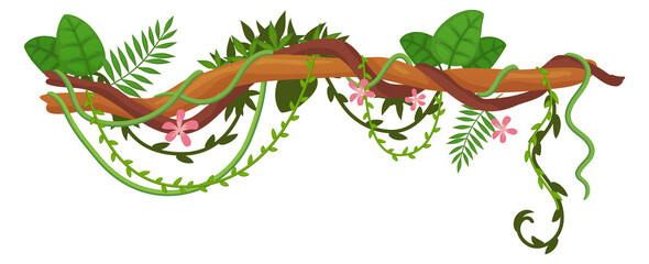 Rainforest tree lianas hanging. Exotic branch greenery © ssstocker