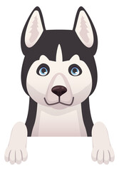 Peeking husky. Cartoon dog character. Animal icon © ssstocker