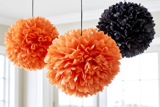Halloween tissue paper pom-poms in orange and black (three), hanging from ceiling, white background, bright light, party decoration