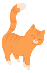 Fototapeta premium Happy cat walking. Pet with joyful face expression
