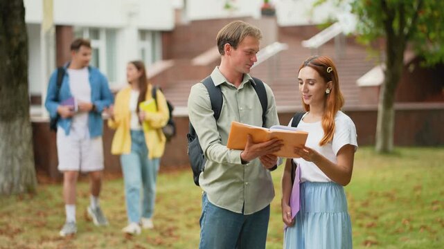 University students studying together on campus lawn