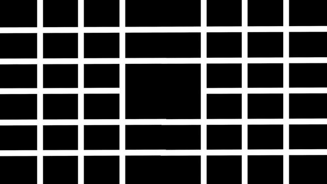 White stripe transition with vertical bar counter animation