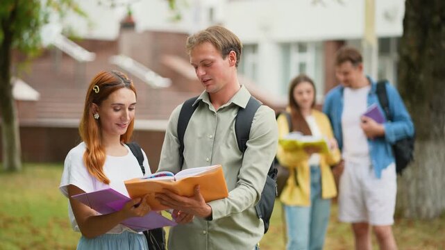 University students studying together on campus lawn