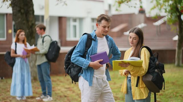 Male and female students discussing homework on university campus lawn