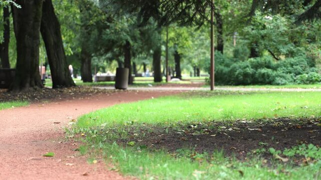 Green city park with winding path, lawn and large trees on summer day, people walking in distance