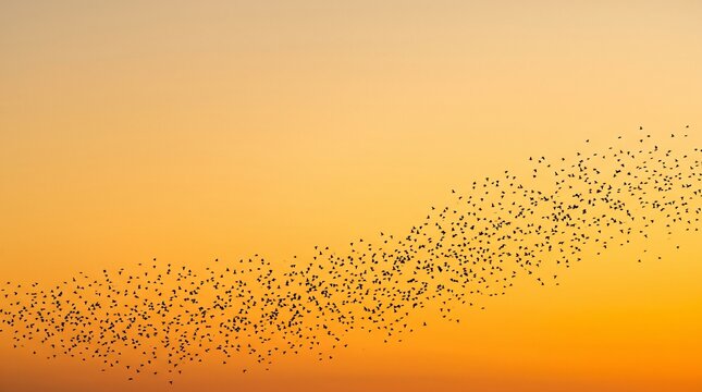 Minimalist silhouette of bird flock flying in formation at sunset