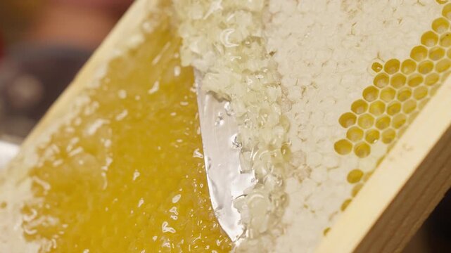 Beekeeper manually cutting sealed honeycomb with knife from frame. Honey production, apiary, natural beekeeping products