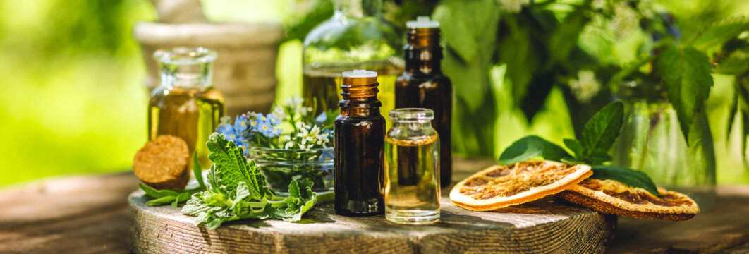 Banner. Concept of pure natural ingredients for cosmetic production. Alternative herbal medicine. Bottles of tincture, potion, organic essential oils, healthy herbs, floral extracts on wooden table