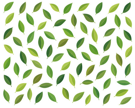 Avocado Leaf Illustration Pattern