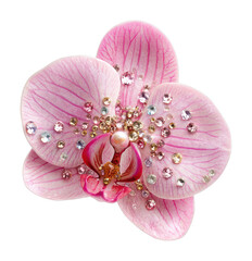 Naklejka premium PNG Elegant jeweled pink orchid blossom.