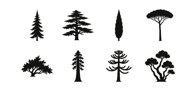 Tree silhouette collection for landscape design, botanical labeling and signage