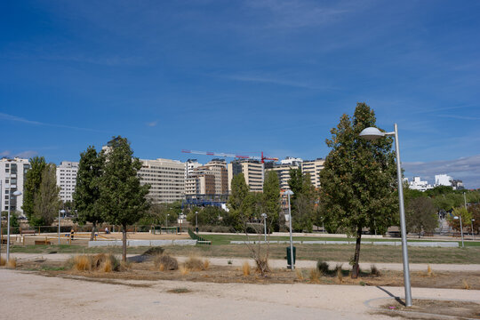 Urban park with trees and modern buildings in Madrid, Spain