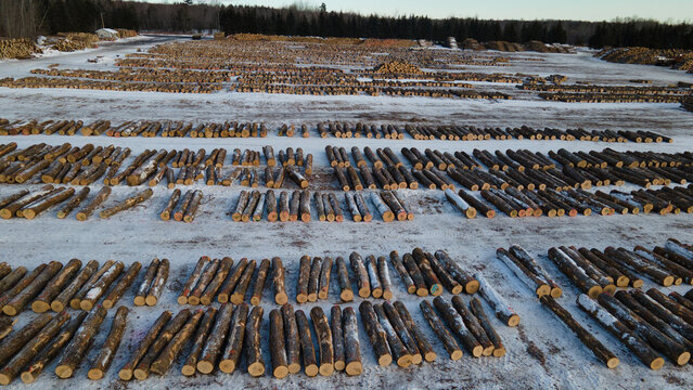 Aerial view of the Lumberyard with rows of stacked logs on snow-covered ground in Baraga, Michigan, United States.