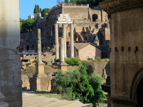 The Columns of the Temple of Castor and Pollux and The Palatine Hill, Rome, Italy
