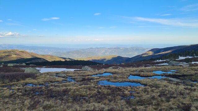 Les magnifiques paysages de tourbi&egrave;res et de zones humides des sommets du mont Loz&egrave;re &agrave; la fin du printemps, avec les C&eacute;vennes ard&eacute;choises en arri&egrave;re-plan (parc national des C&eacute;vennes, Occitanie)