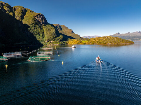 Aerial view of a salmon farm with circular pens in a fjord, a small boat creating a wake in the blue water, surrounded by mountains in Gratangen, Troms, Norway.