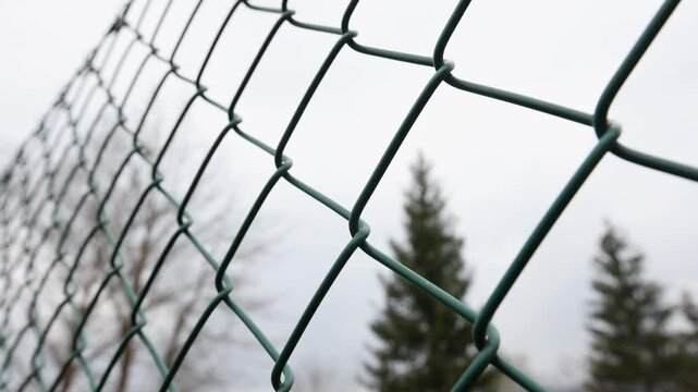 View of trees through a wire mesh fence