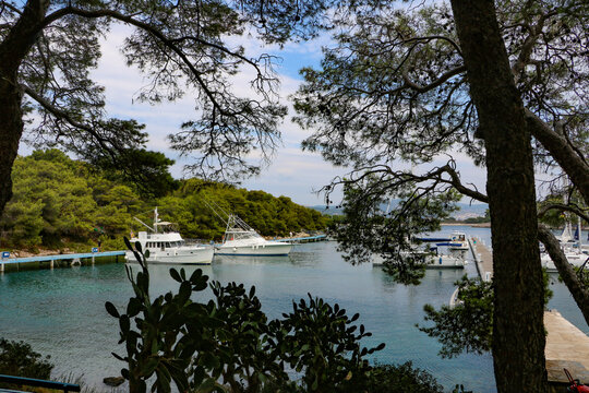 View of boats moored in the marina, framed by pine trees with clear blue water and a cloudy sky in Hvar, Split-Dalmatia County, Croatia.