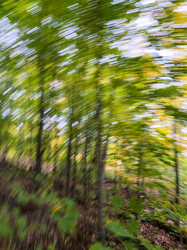 For&ecirc;t d'automne en flou de mouvement. Arri&egrave;re-plan abstrait. Pose longue.