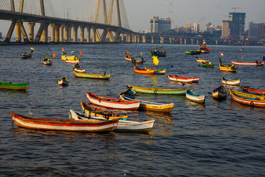 View of traditional wooden fishing boats of the Koliwada community floating on the water with the Bandra-Worli Sea Link bridge in the background in Mumbai, Maharashtra, India.