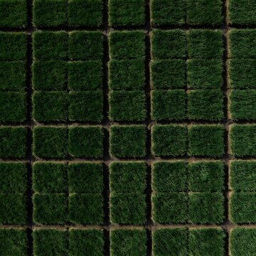 Aerial down view of square grass sod tiles arranged in a uniform grid pattern on dark soil
