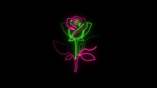 Pink and green neon rose outline glowing against black background flower 4k video.