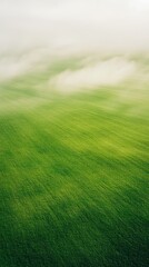 Naklejka premium Aerial green meadow with mist, minimal nature mobile wallpaper