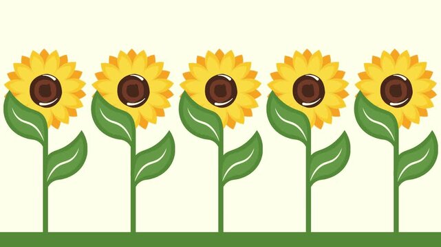 4k footage animation of sunflower and leaf on background. The seamless pattern sunflower. Seamless pattern leaf. shape of leaf. Sunflower on soft yellow background. sunflower in flat vector style rota