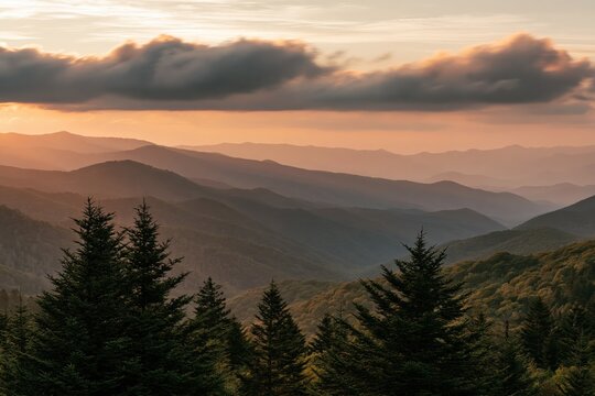 Layered mountain range at sunset with pine trees