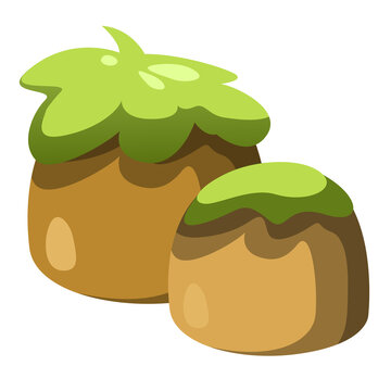 Two grass on stone
